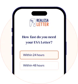 Reviewing your answers